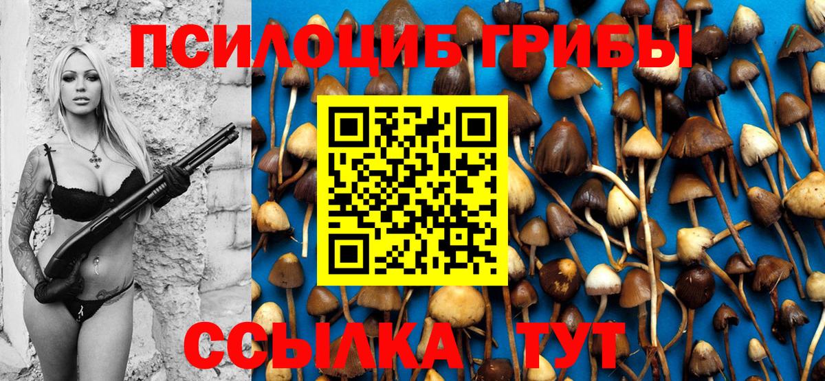 Озёрск  Галлюциногенные грибы Psilocybe  Вход с VPN 