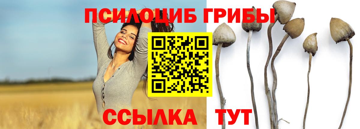 Псилоцибиновые грибы MAGIC MUSHROOMS Озёрск